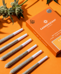 Pre Roll Packaging
